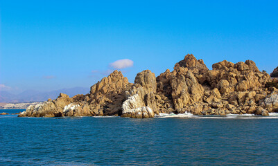 Fototapeta premium Isla de los lobos marinos en Coquimbo - Chile