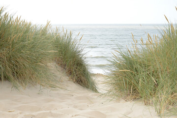 The nordic sea collection where the water is cold, the wind is strong and the landscapes are vast