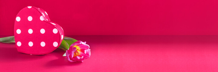 Banner with heart shaped present and tulip on pink background as celebration of Valentine's Day. Romantic concept for womens day, mothers day