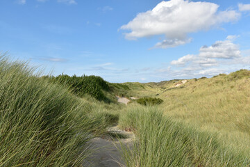 Nordic skies and landscapes