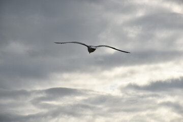 The nordic sea collection where the water is cold, the wind is strong and the landscapes are vast
