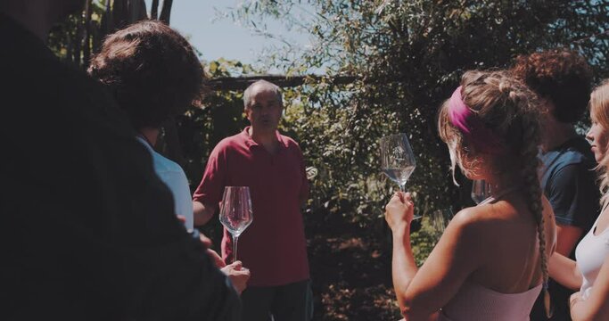 A winemaker guiding private tour for a group of friends in a summer day 