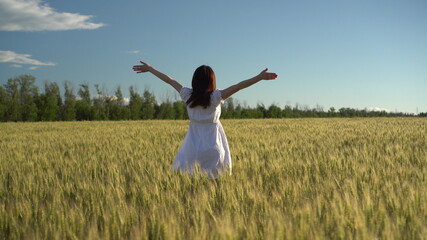 A young woman in a white dress walks on a green wheat field. The girl goes and raises her hands up. Back view.