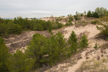Indiana Dunes - Dune Succession Trail