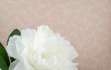 A vanilla white fabric flower on a pink wallpaper background
