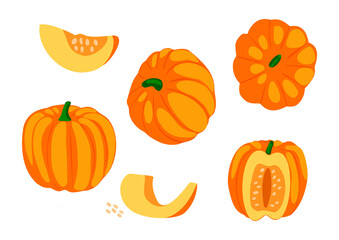 Vector cartoon illustration with set, collection of pumpkins in different positions. Concept vegetables, crops, food, farming.