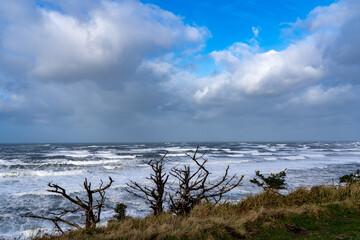 View of Pacific ocean from North Head at the mough of the Columbia River, near Ilwaco, Washington