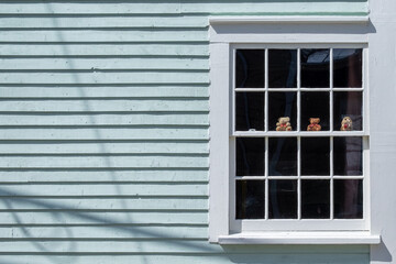 Fototapeta premium The exterior of a vintage mint green clapboard siding building with a multiple pane windows covered in white trim. There are two small teddy bears and a little toy beaver sitting on the window ledge. 