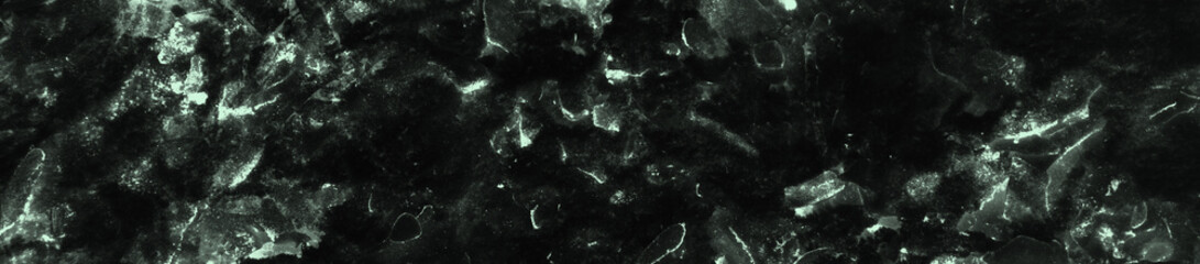 abstract black and light green colors background for design