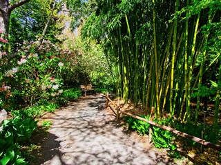 Springtime blooms with walkways and benches in public Finnerty Gardens in Victoria BC