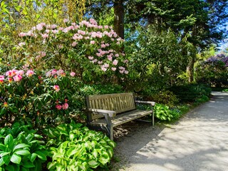 Fototapeta na wymiar Springtime blooms with walkways and benches in public Finnerty Gardens in Victoria BC