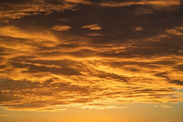Fototapeta premium This image features clouds illuminated and glowing gold from an idyllic sunset. 