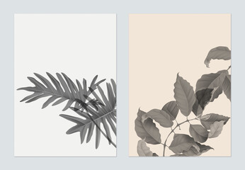 Botany poster template design, various monochrome leaves on grey and brown