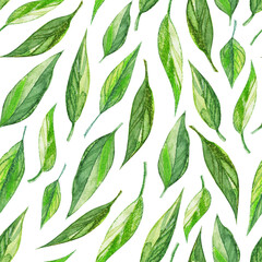 Seamless pattern with green leaves. Watercolor illustration, endless tileable background texture of green leaf