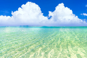 Photo Wallpaper Eden Mural Poster Stickers Canvas