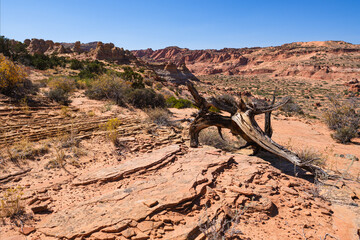 The beautiful landscape and rock formations of Coyote Buttes South in the Vermilion Cliffs National...