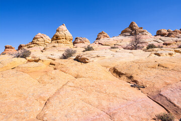 The beautiful landscape and rock formations of Coyote Buttes South in the Vermilion Cliffs National Monument in northern Arizona