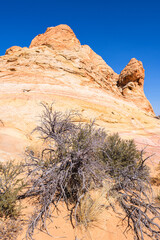 The beautiful landscape and rock formations of Coyote Buttes South in the Vermilion Cliffs National...