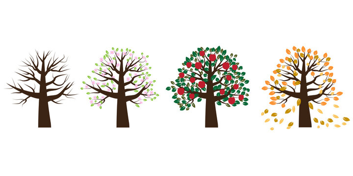 Tree different seasons, great design for any purposes. Nature illustration. Realistic vector. Stock image. EPS 10.