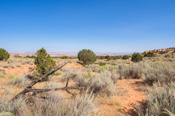 The beautiful landscape and rock formations of Coyote Buttes South in the Vermilion Cliffs National...