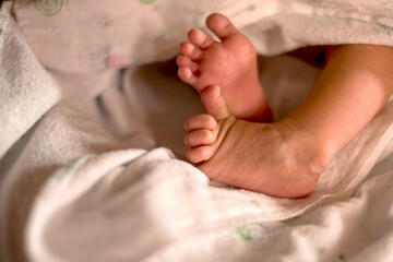 Tiny newborn baby feet, tiny bare feet of tiny newborns. Happy family concept