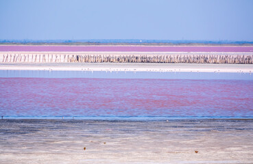A beautiful salt lake with pink water.
