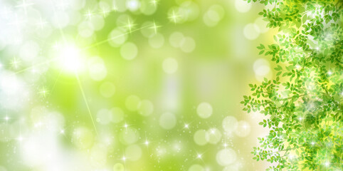 Fototapeta premium 新緑 葉 春 背景 