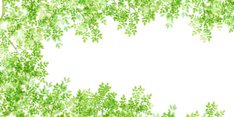 新緑　葉　春　背景
