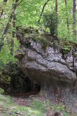 Teufelstisch Fels Felsformation Kast Fränkische Schweiz Kleinziegenfelder Tal