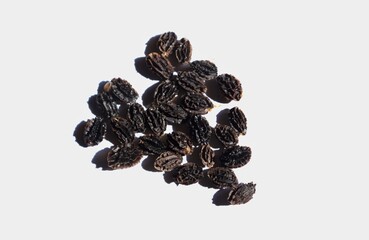 Closeup of Papaya Seeds or Pawpaw Seed Isolated on White Background