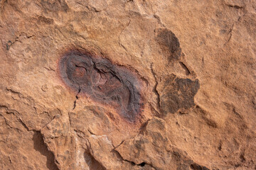 Red iron oxide spots in Aztec sandstone close-up
