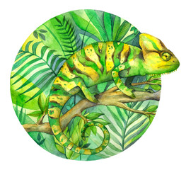 Watercolor green chameleon in the tropical forest. Illustration in circle on white background.