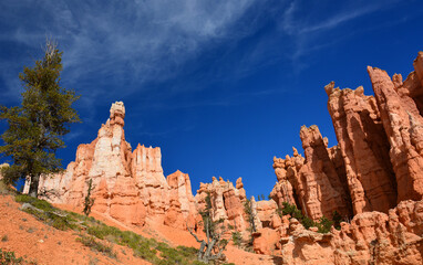 incredible view over the colorful, eroded hoodoos of bryce canyon national park in utah, form the...