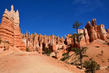 incredible view over the colorful, eroded hoodoos of bryce canyon national park in utah, form the...