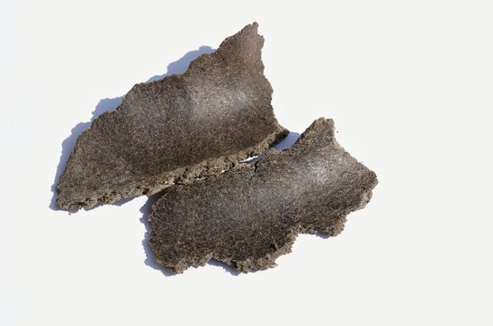 Mustard Seeds Cake Isolated on White Background, Use for Cattle Food