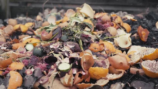 Compost pile from food waste. Fertilizer for organic waste beds