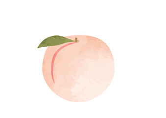 葉っぱのついた桃のイラスト　モモ、もも