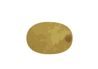 キウイフルーツ、キウイ