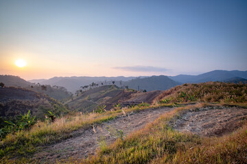 Deforestation field on mountain with sunset scen, Agricultural field on mountain