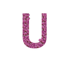 Letter U of the alphabet with photography of pink flowers. Letter U made from flowers isolated on white Photo. Alphabet symbols with flowers texture pattern