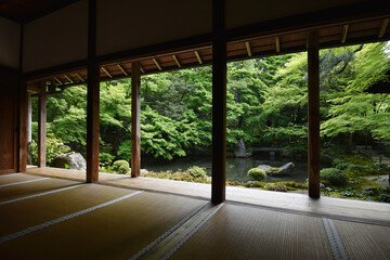 新緑の蓮華寺　書院内から見た庭園　京都市