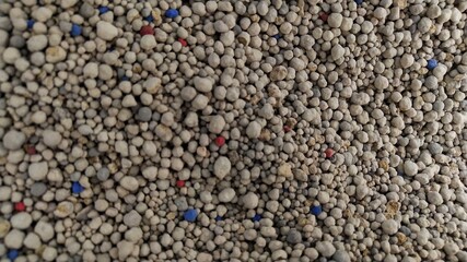 Close up cat sand