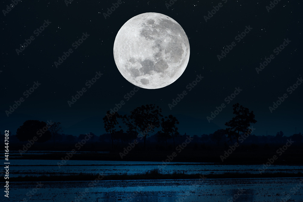 Wall mural full moon with silhouette trees in the dark night.