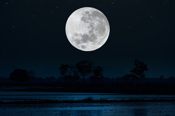 Fototapeta na wymiar Full moon with silhouette trees in the dark night.