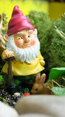 Obraz premium Gnome