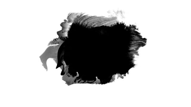 Ink Drops Transition on Black Background 4k Footage Ink Footage Transition White Ink Drops Falling on Black Background
