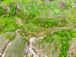 Aerial view green steppe nature in Don region