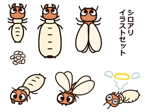 313 Best シロアリ Images Stock Photos Vectors Adobe Stock 313 Best シロアリ Images Stock Photos Vectors Adobe Stock