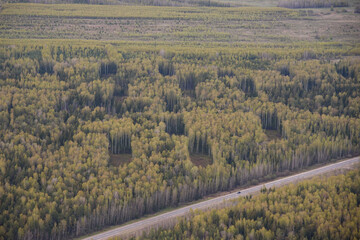 autumn in the mountains