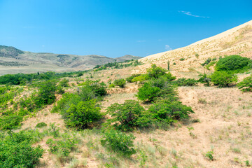 Fototapeta na wymiar Sand dune dune Sarikum in Dagestan, Russia